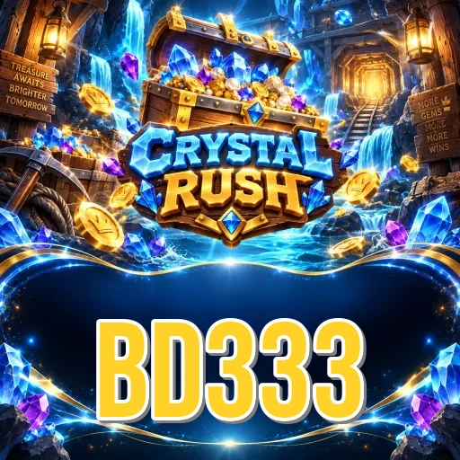 Developer Info bd333