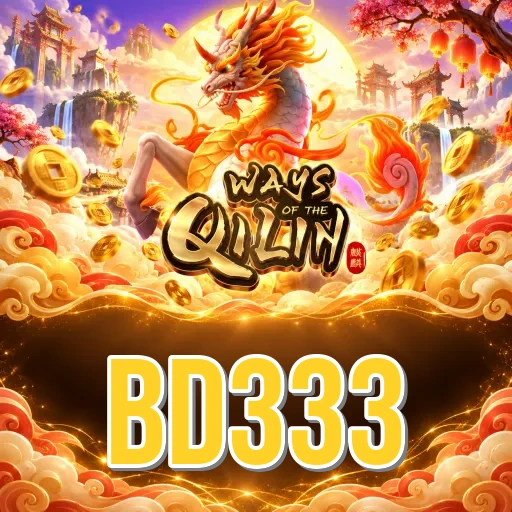 bd333 Features FAQ