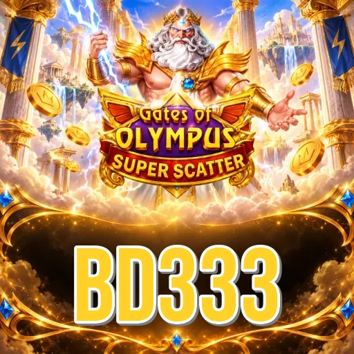 Installation Guide - bd333 Expert Tutorial