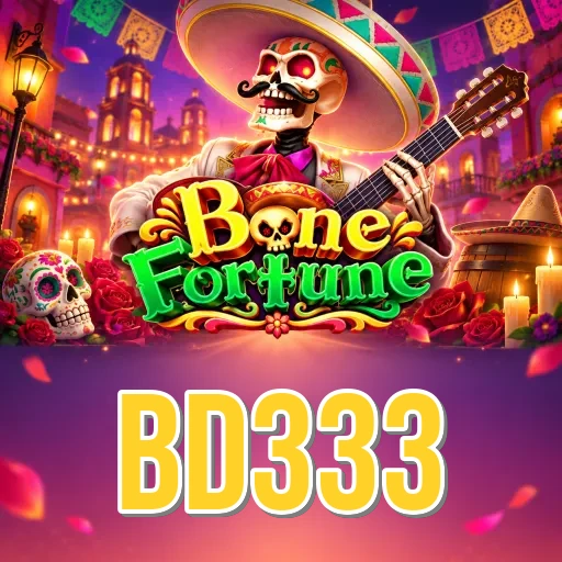 bd333 Security FAQ