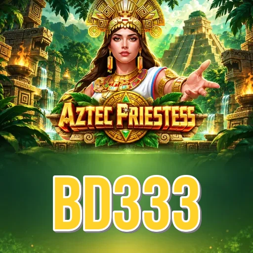 Version History bd333